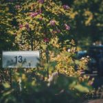 韩国无遮瑕版漫画免费 2ynsta