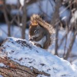 床震未满十八禁止观看 4w462