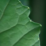 国产精品自在在线午夜 7se1j