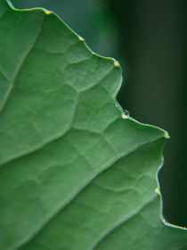 国产精品自在在线午夜 国产精品自在在线午夜