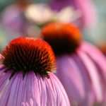 毛片网 a3h3brb045