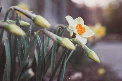 国产精品第44页