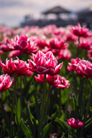 韩国演艺圈潜规则