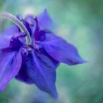 日本成本人片视频免费一级 hm4jqkzp