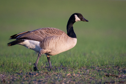 韩国日本不卡高清免费看 韩国日本不卡高清免费看