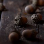 网友自拍第12页 vvl640wqnv