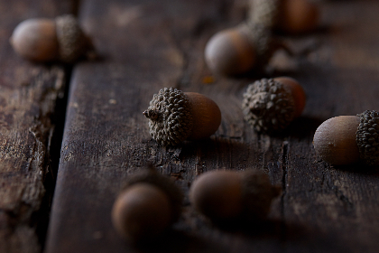 网友自拍第12页