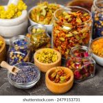 yy4480青苹果影院苹果影视院:畅享最新热门影片,尽在青苹果影院! 2x3ct7