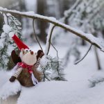 周于希 土豪私定 参差:揭示现代爱情中的财富与情感的复杂交织 571sm