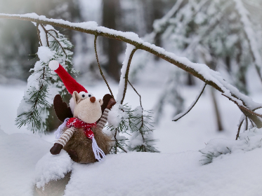 周于希 土豪私定 参差：揭示现代爱情中的财富与情感的复杂交织