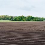 五十度黑在线观看未删减版豆瓣:探索禁忌之爱与欲望的极致体验 6d14ag41