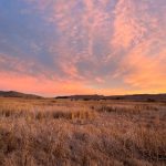 天天向上2017:回顾年度精彩瞬间与感人故事 8ct1jo9k