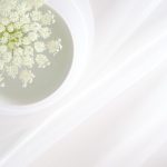 saoyaav.c:探索编程语言中的新兴趋势与应用前景 8rlhn27msu