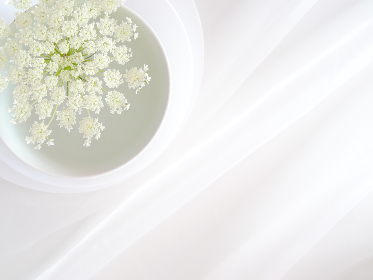 saoyaav.c:探索编程语言中的新兴趋势与应用前景 saoyaav.c:探索编程语言中的新兴趋势与应用前景