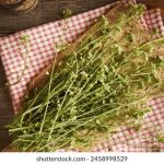 yy4480高清影院免费vip:畅享无广告高清影视,尽在指尖! hfu4lv3zl