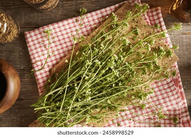 yy4480高清影院免费vip:畅享无广告高清影视,尽在指尖! yy4480高清影院免费vip:畅享无广告高清影视,尽在指尖!