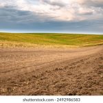 姐姐的朋友1 韩剧在线观看:探索青春与友情交织的感人故事 hpygefh4w