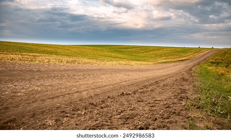 姐姐的朋友1 韩剧在线观看:探索青春与友情交织的感人故事 姐姐的朋友1 韩剧在线观看:探索青春与友情交织的感人故事