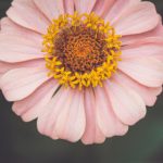 地址发布一二三:全面解析地址发布的流程与注意事项 np77t