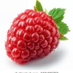 天天向上 漫画:探索成长与梦想的奇幻旅程 y4frh