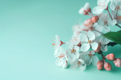 全面解析天使萌攻略:助你轻松掌握游戏技巧与策略 全面解析天使萌攻略:助你轻松掌握游戏技巧与策略