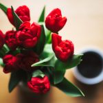 動漫線上看免費網站:探索最佳免費動漫觀看平台與資源分享 zcy5qq